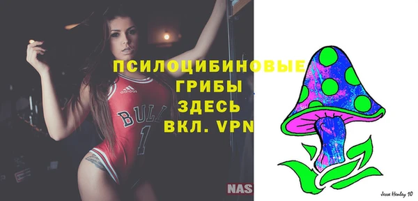 соль ск Абинск